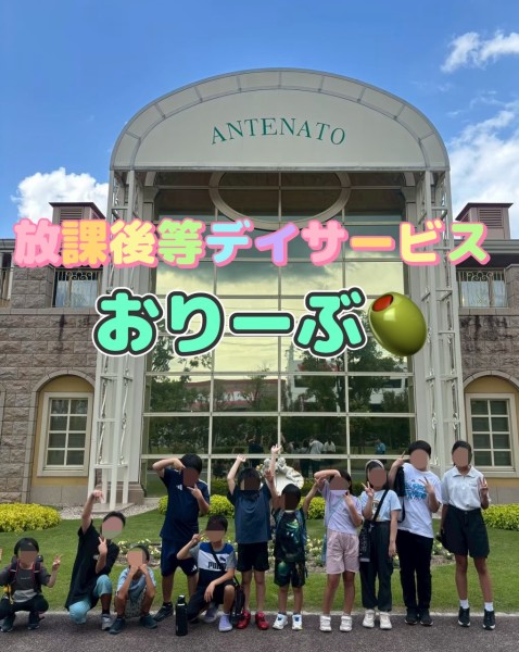 おりーぶのご紹介🫒✨